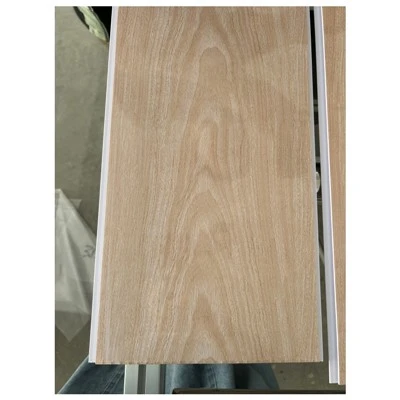 PVC-Deckenpaneel Techo PVC