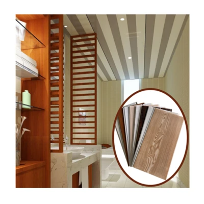 PVC-Deckenpaneel Techo PVC