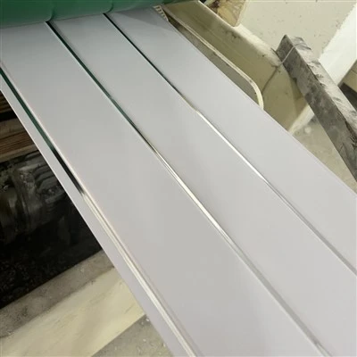 PVC-Decke
